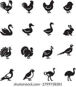 Comprehensive set of silhouette icons representing farm animals poultry swan duck goose rabbit peacock turkey pheasant pigeon quail and ostrich illustrations suitable for agriculture design and livestock.