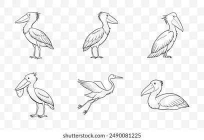 Comprehensive Shoebill Line Art Vektorgrafik Set für Illustrationen und Designs