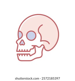 Comprehensive Skull Anatomy Illustration Icon Design