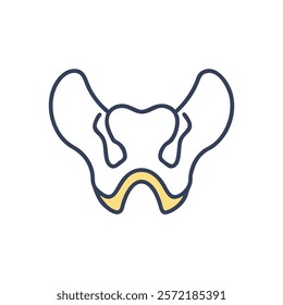 Comprehensive Sphenoid Bone Anatomy Illustration Icon