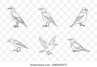 Comprehensive Starling Line Art Vector Collection for Artistic and Design Projects