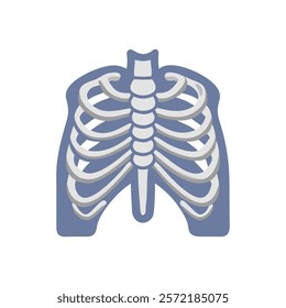 Comprehensive Sternum Anatomy Vector Illustration