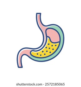 Comprehensive Stomach Anatomy Vector Design