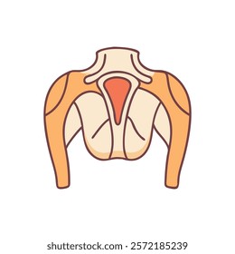 Comprehensive Subscapular Fossa Anatomy Vector Design