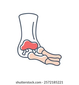 Comprehensive Talus Anatomy Vector Design