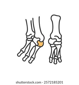 Comprehensive Tarsal Bones Anatomy Vector Design