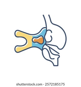 Comprehensive Temporal Bone Anatomy Vector Design