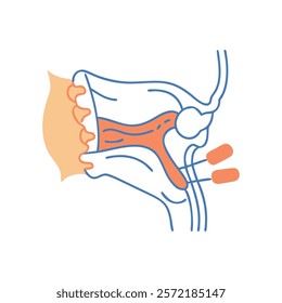 Comprehensive Temporomandibular Joint Anatomy Vector Design