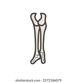 Comprehensive Tibia Anatomy Vector Illustration