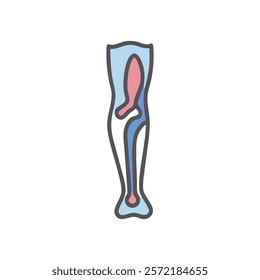 Comprehensive Tibial Plateau Anatomy Vector Design