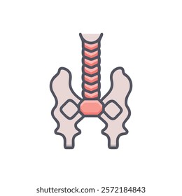 Comprehensive Trachea Anatomy Vector Design