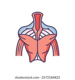 Comprehensive Trapezius Muscle Anatomy Vector Design