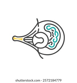 Comprehensive Tympanic Membrane Anatomy Vector Illustration