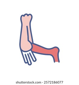 Comprehensive Ulna Anatomy Vector Design