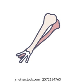 Comprehensive Ulna Anatomy Vector Icon Design