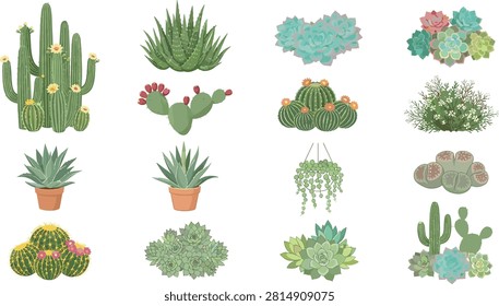 Comprehensive vector collection featuring various cacti and succulents like aloe vera, saguaro, and echeveria. Ideal for botanical prints, branding, scrapbooking, and home decor design projects.
