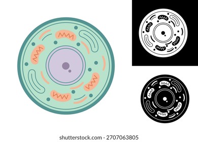 Comprehensive Vector Diagram of a Eukaryotic Cell Showing Key Organelles like Nucleus and Mitochondria for Biology Education and Scientific Visuals