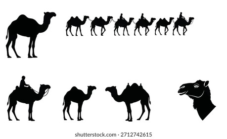 Um abrangente conjunto vetorial de ícones de silhueta preta com camelos em várias poses e cenários, isolado em um fundo branco limpo.