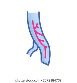 Comprehensive Vein Anatomy Vector Design