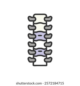 Comprehensive Vertebral Column Anatomy Vector Design