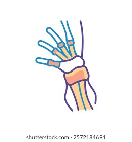 Comprehensive Wrist Joint Anatomy Vector Design