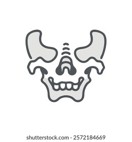 Comprehensive Zygomatic Bone Anatomy Vector Icon