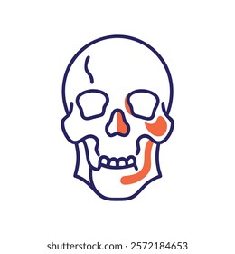 Comprehensive Zygomatic Bones Anatomy Vector Illustration