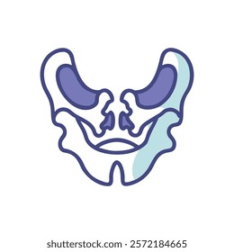 Comprehensive Zygomatic Bones Anatomy Vector Design