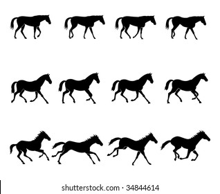 Computer generated illustration: the three natural gaits of the horses. First row: WALK  Second row: TROT  Third row: GALLOP Black silhouettes on white background