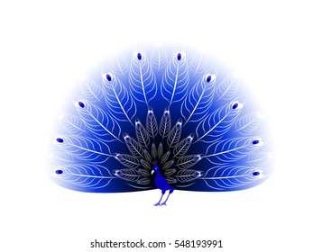 Computer graphic tropical bird with design elements. Vector illustration of beautiful peacock  for your design.  