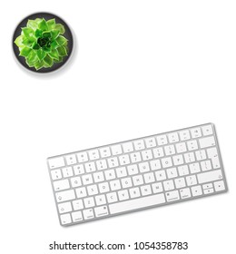 Computer keyboard and succulent flower isolated on white background. Top view with copy space. Flat lay. Vector illustration. 