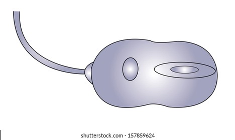 computer mouse
