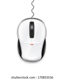 Computer Mouse