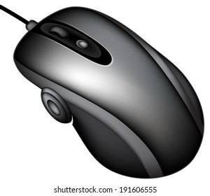 computer mouse