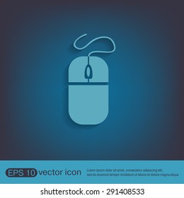 computer mouse