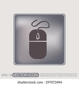 computer mouse