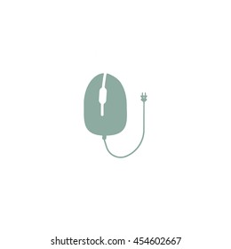 computer mouse
