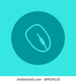 computer mouse