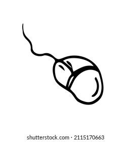 Computer mouse. Coordinate device for cursor control. Wired. Vector illustration in doodle style. Contour on an isolated white background. Sketch. Illustration for web design.