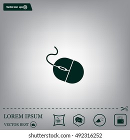 Computer mouse icon, vector illustration. Flat design style