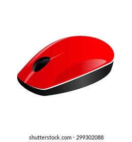Computer mouse on a white background
