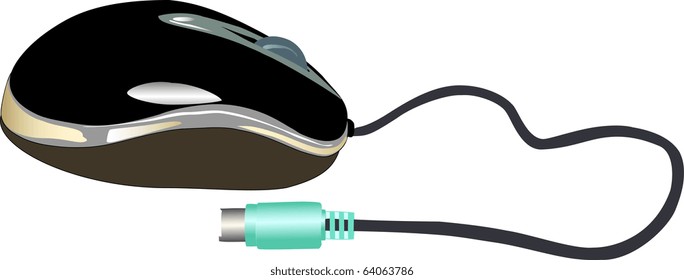 Computer mouse on a white background