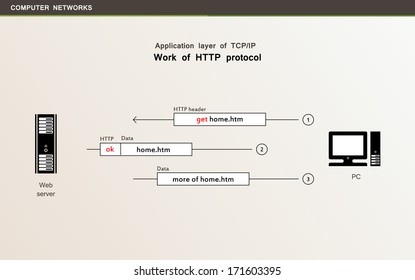 Computer networks. Application layer of TCP/IP networking model. Work of HTTP protocol.