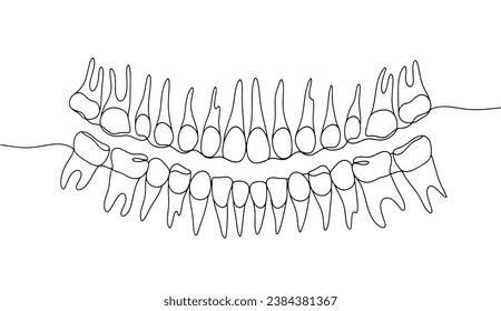 Tomograma computacional de dientes humanos. Ilustración dental. Un dibujo de línea para diferentes usos. Ilustración vectorial.