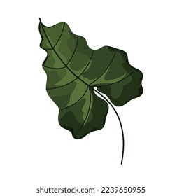 comun leaf plant foliage nature icon
