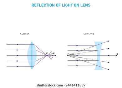 Las lentes cóncavas hacen converger la luz, enfocándola hacia un punto focal. Las lentes convexas separan la luz y la extienden hacia el exterior.