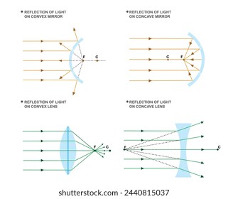 Concave mirrors converge light, focusing it towards a focal point. Convex mirrors diverge light, spreading it outwards.