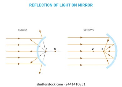 Concave mirrors converge light, focusing it towards a focal point. Convex mirrors diverge light, spreading it outwards.