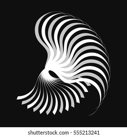 concentric curved lines