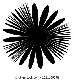 Concentric radial element. Radiating abstract geometric element